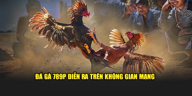 Đá gà 789P diễn ra trên không gian mạng