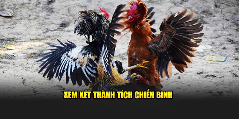 Xem xét thành tích chiến binh